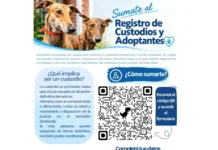 Crean en Mercedes un registro para custodiar y adoptar animales rescatados por maltrato