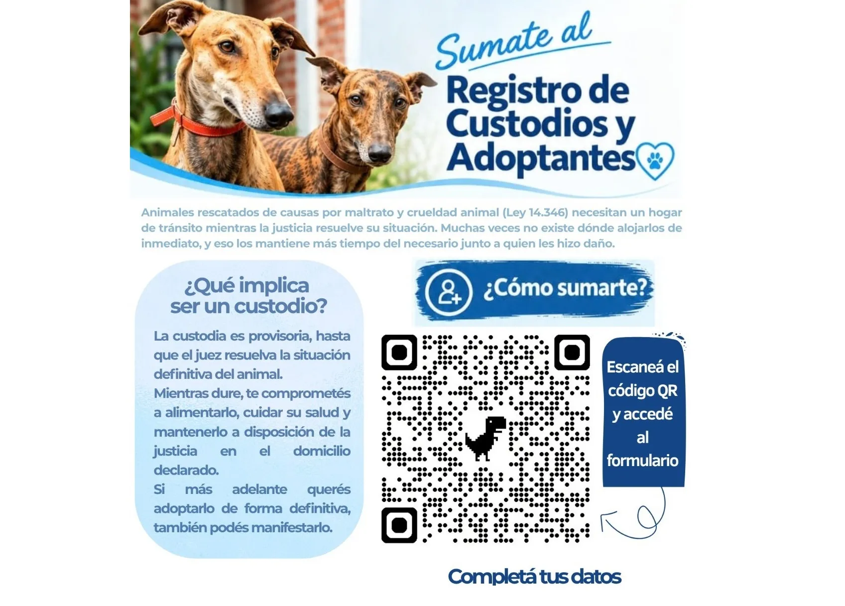 12-10-26 CUSTODIOS_27_11zon