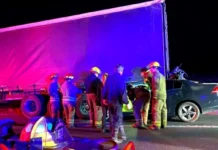 Ruta 5: fallece automovilista tras chocar por detrás con un camión