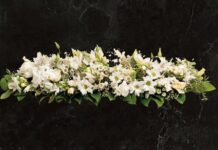 Necrológicas 27/10/25