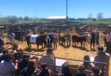 La 77º edición de la Rural, luego de una suspensión y sábado lluvioso finalizó con gran éxito