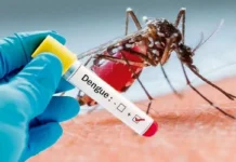 Convocan a acciones para que el dengue no sea un problema