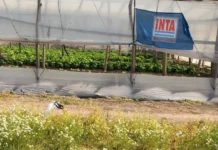 INTA Mercedes: Temor por la reactivación de un plan de ajuste nacional