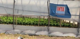 INTA Mercedes: Temor por la reactivación de un plan de ajuste nacional