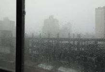 Mercedes: 2025 ya alcanza la segunda marca de lluvia desde 1970