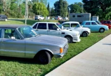 Gran encuentro multimarcas de autos, en el Parque Municipal
