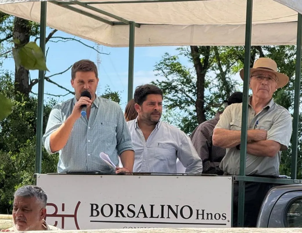 Borsalino 17-11-25 1_11zon