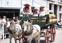 Fiesta del pueblo: Gran celebración de la comunidad