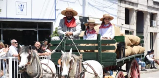 Fiesta del pueblo: Gran celebración de la comunidad