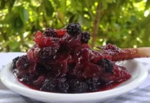 Chutney de moras