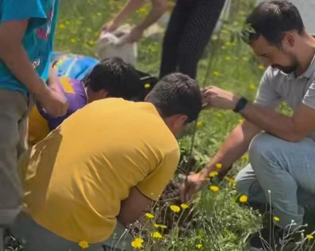 Area de Arbolado 2_1_11zon