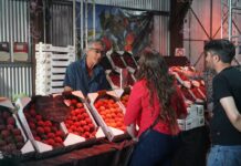 Arranca la Fiesta Nacional del Durazno en Mercedes: tradición, música y entrada gratuita