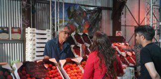 Arranca la Fiesta Nacional del Durazno en Mercedes: tradición, música y entrada gratuita