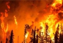 Diputada Selva: “Argentina de está prendiendo fuego”