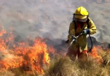 Los incendios forestales lideraron la estadística anual para la salida de Bomberos