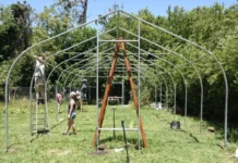 Invernadero del Vivero Municipal