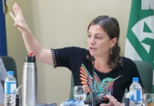 Vanesa Siley asegura que se busca una flexibilización laboral disfrazada de reforma
