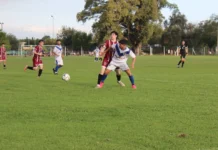 Días de acción y suspendidos