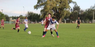 Días de acción y suspendidos