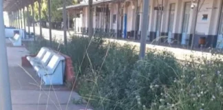 Preocupante estado de abandono de la estación del Sarmiento