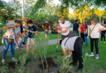 Jornada de puesta en valor y concientización en plaza de 1 y 40