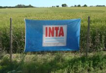 Avanza el ajuste en el INTA: cierran 14 agencias