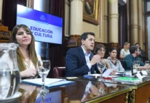 “Wado” de Pedro y senadora macrista acuerdan posturas contra el bullying