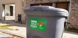 Inician prueba piloto de contenedores exclusivos para hojas