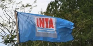 Ajuste en el INTA: el Gobierno busca reducir mil puestos de trabajo mediante un nuevo plan de retiros voluntarios