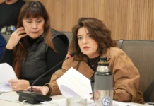 La diputada Sabrina Selva exigió respuestas por la parálisis de las obras en la Ruta 5