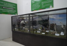 La nueva muestra sobre la Reserva Natural Arroyo Balta se inauguró este viernes