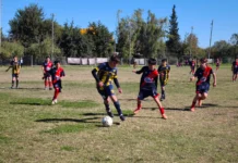Las inferiores cargadas de partidos con violencia incluida