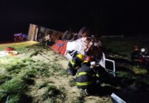 Tragedia en Ruta 5: un vecino de Bragado falleció tras un violento choque frontal cerca de Suipacha