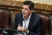 Wado de Pedro advirtió que la derogación de la Ley de Tierras pone en riesgo la soberanía nacional
