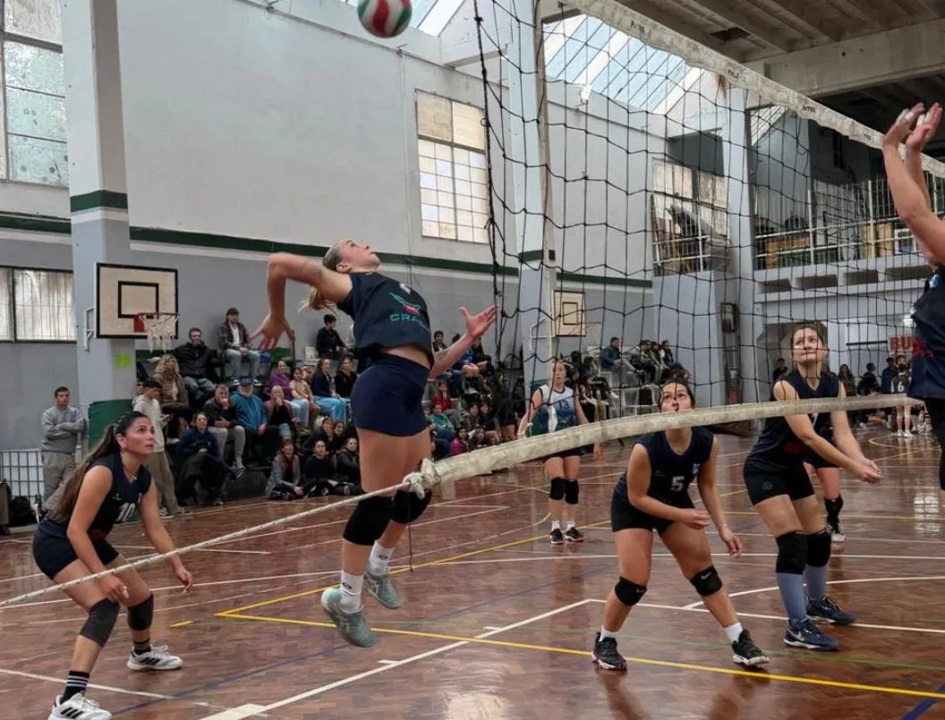 voley_15_11zon