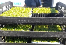 El Vivero Biotecnológico recibió especies nativas