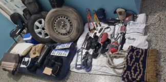 Caída en la Fiesta del Salame: aprehendieron a un prófugo que robaba pertenencias e inhibía vehículos en el Parque Independencia